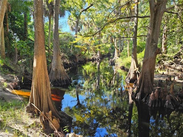 12025 Carpenter LN, Bonita Springs, FL 34135