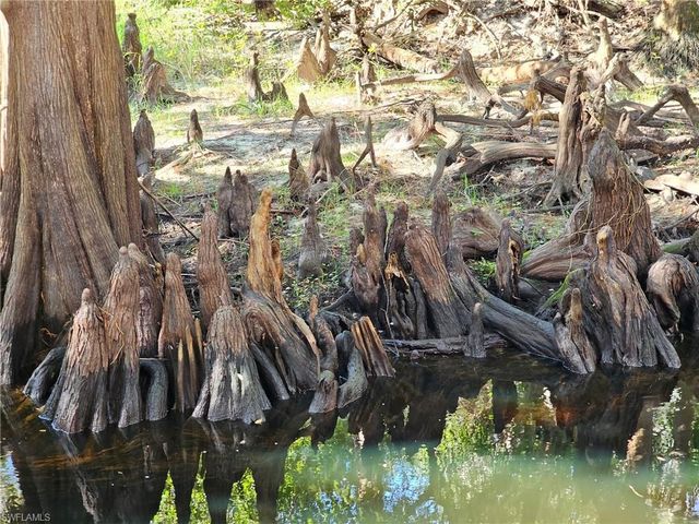 12025 Carpenter LN, Bonita Springs, FL 34135