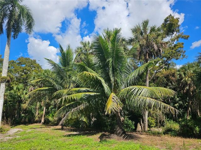 12025 Carpenter LN, Bonita Springs, FL 34135