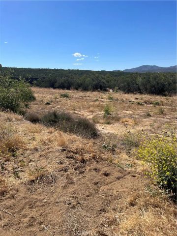 54080 Wellman, Anza, CA 92539