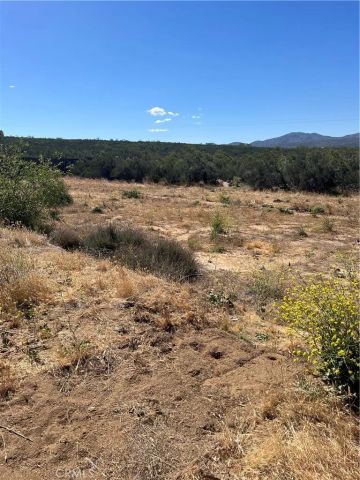54080 Wellman, Anza, CA 92539