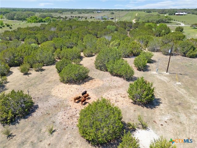 493 County Road 204, Burnet, TX 78611