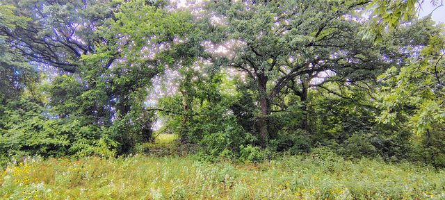 000 FM 309, Hillsboro, TX 76645