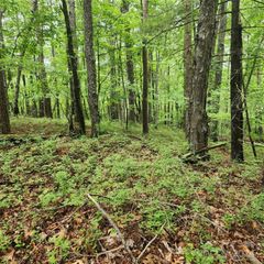 0 Buttonwood Road 21, Connelly Springs, NC 28612