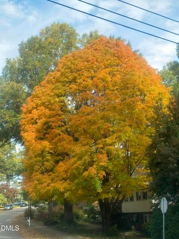 2100 Nancy Ann Drive, Raleigh, NC 27607