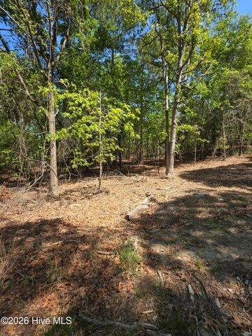 123 Winsford Circle, West End, NC 27376