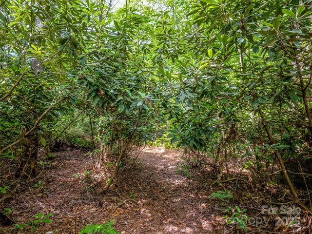J 34 Cherokee Point 34, Lake Toxaway, NC 28747