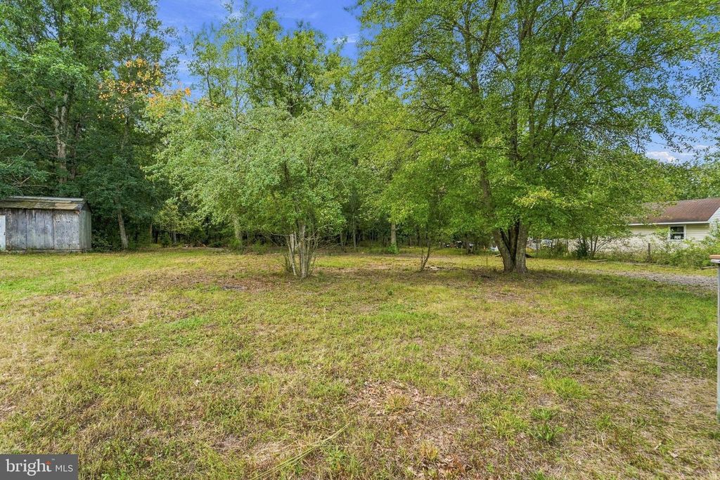 262 MOUNT MISERY RD, BROWNS MILLS, NJ 08015 — photo 2