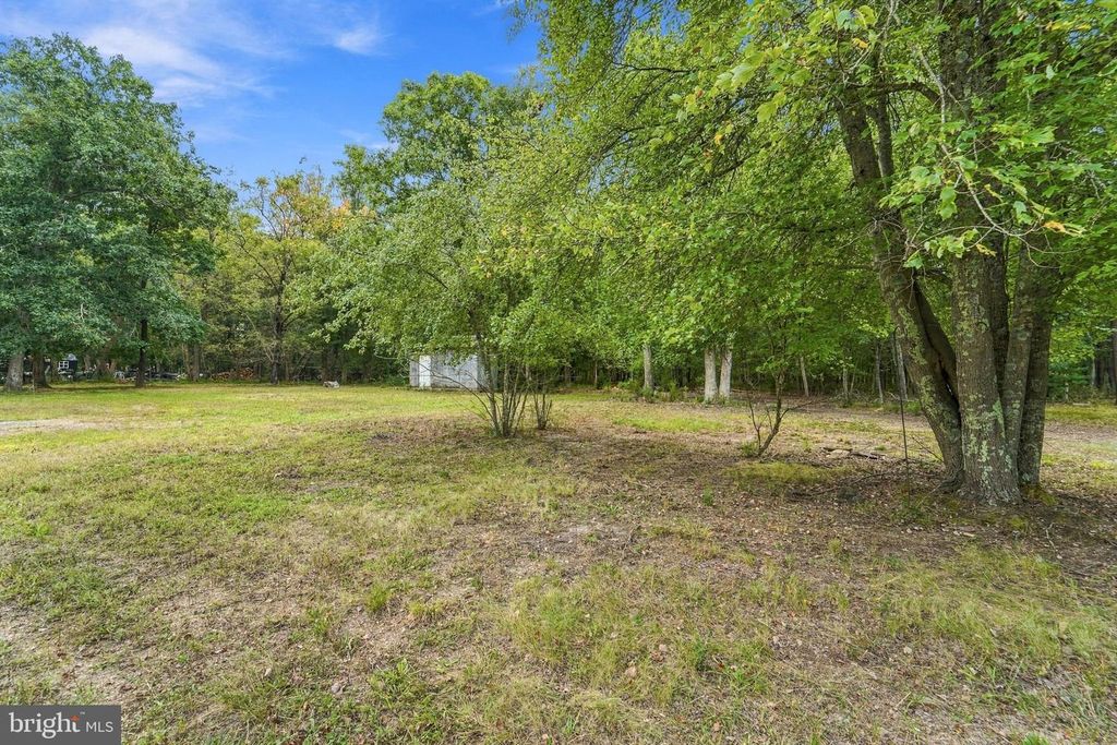 262 MOUNT MISERY RD, BROWNS MILLS, NJ 08015 — photo 3
