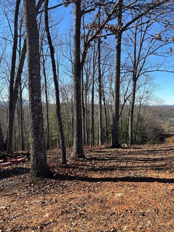 Lot 64 Thundering Hill, Murphy, NC 28906