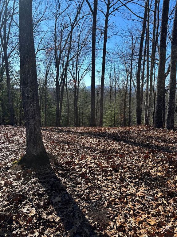 Lot 64 Thundering Hill, Murphy, NC 28906