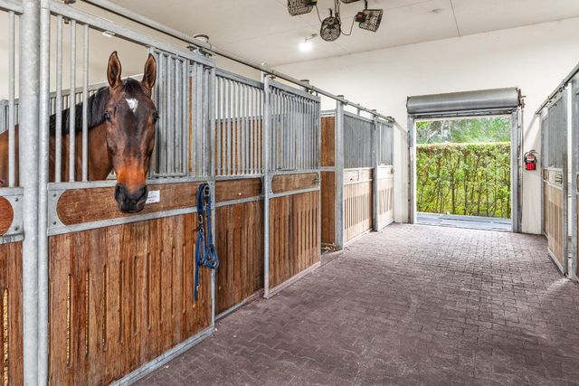 14750 Palm Beach Point Boulevard, Wellington, FL 33414