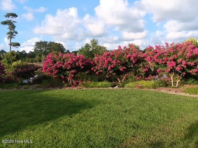 4296 Skeffington Court, Southport, NC 28461