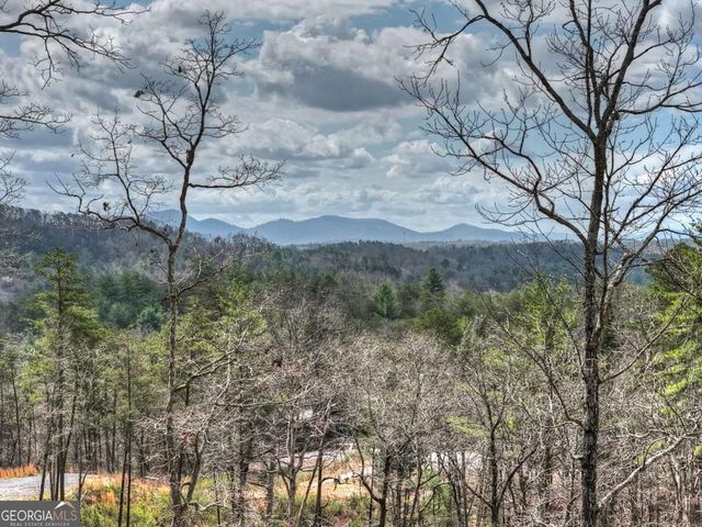 386 Mountain Laurel Ridge, Mineral Bluff, GA 30559