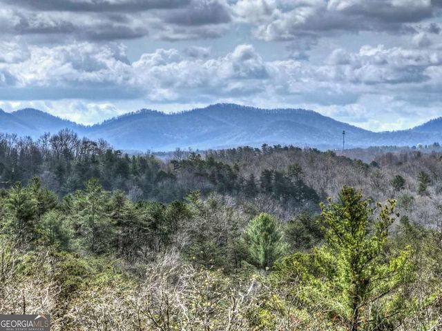 386 Mountain Laurel Ridge, Mineral Bluff, GA 30559