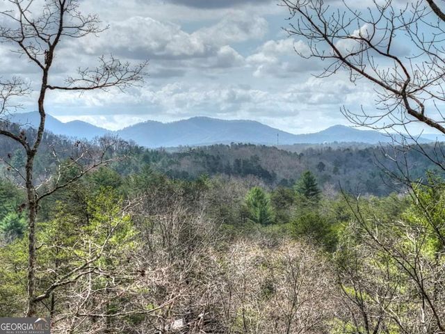 386 Mountain Laurel Ridge, Mineral Bluff, GA 30559