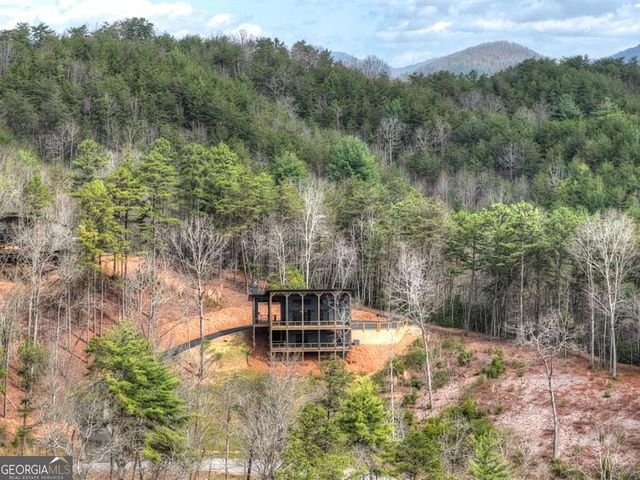 386 Mountain Laurel Ridge, Mineral Bluff, GA 30559