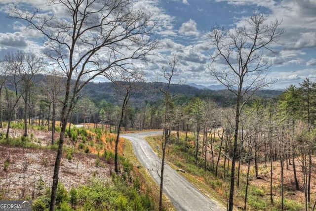 386 Mountain Laurel Ridge, Mineral Bluff, GA 30559