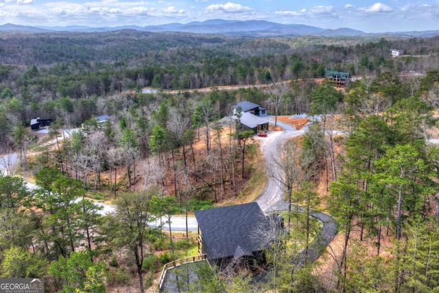 386 Mountain Laurel Ridge, Mineral Bluff, GA 30559