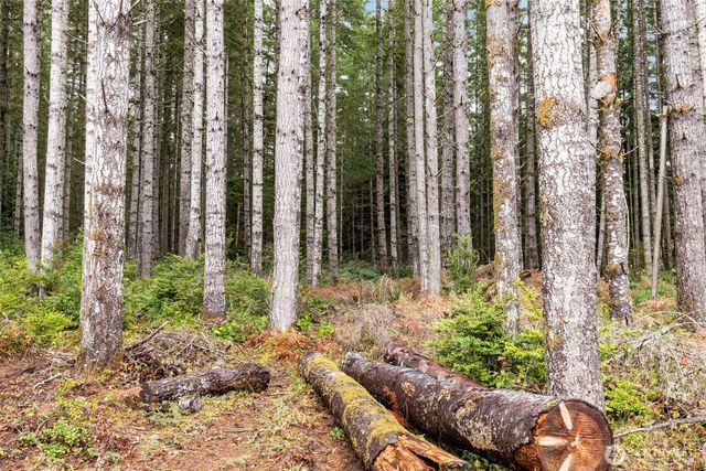 3 Larson Lane NW, Seabeck, WA 98380