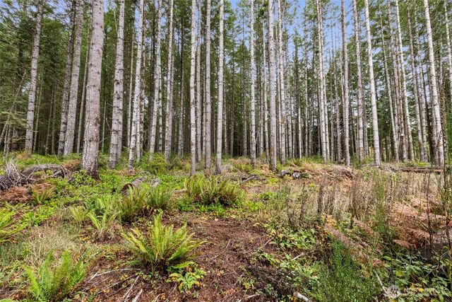 3 Larson Lane NW, Seabeck, WA 98380