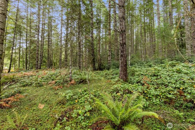 3 Larson Lane NW, Seabeck, WA 98380