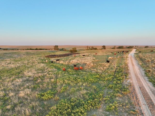 First Creek Ranch, Booker, TX 79005