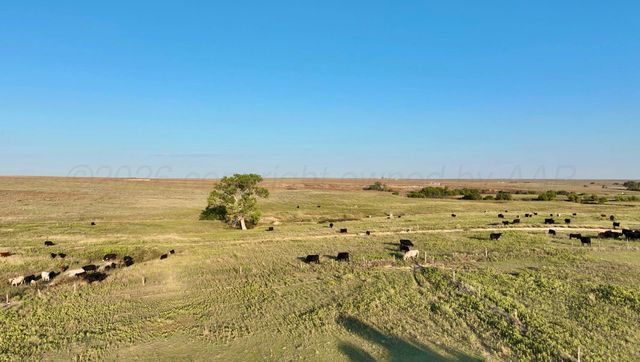 First Creek Ranch, Booker, TX 79005