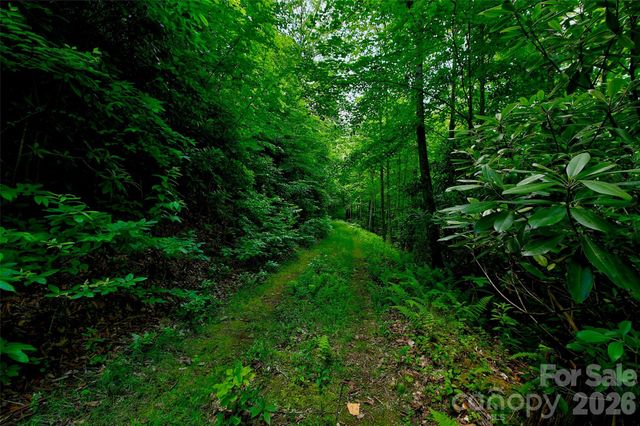 00 Arrowhead Ridge Road, Spruce Pine, NC 28777