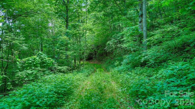 00 Arrowhead Ridge Road, Spruce Pine, NC 28777