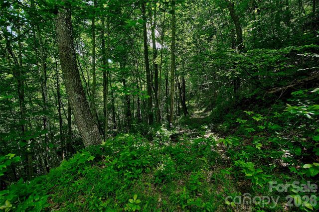 00 Arrowhead Ridge Road, Spruce Pine, NC 28777