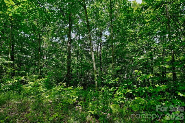 00 Arrowhead Ridge Road, Spruce Pine, NC 28777