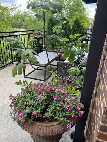 324 Liberty Pike Apt 226, Franklin, TN 37064