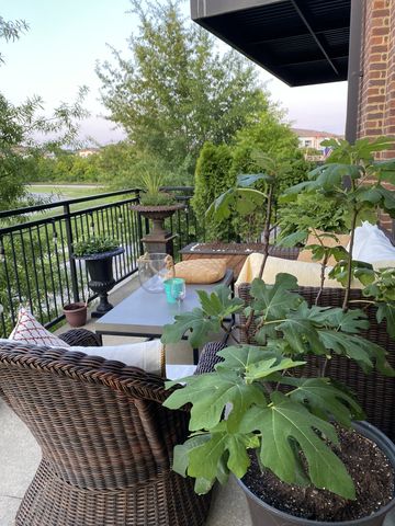 324 Liberty Pike Apt 226, Franklin, TN 37064