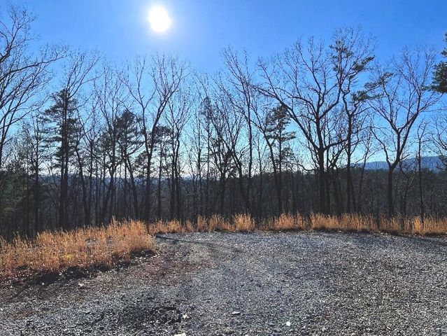673 Willard Mountain Road, Blue Ridge, GA 30513