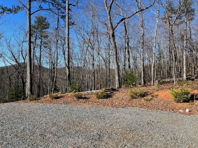 673 Willard Mountain Road, Blue Ridge, GA 30513