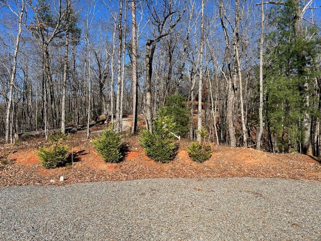 673 Willard Mountain Road, Blue Ridge, GA 30513