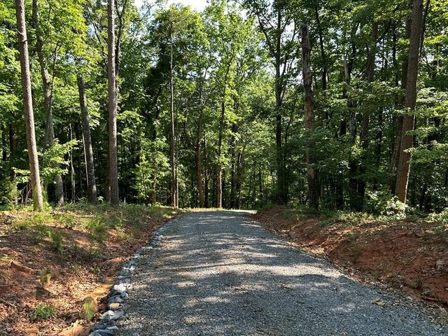 673 Willard Mountain Road, Blue Ridge, GA 30513