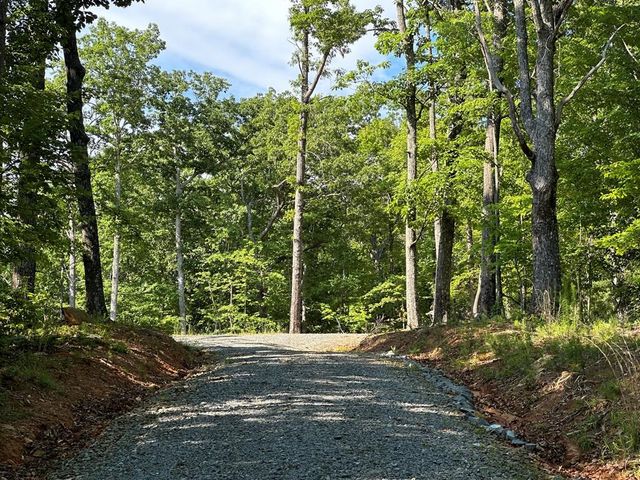 673 Willard Mountain Road, Blue Ridge, GA 30513