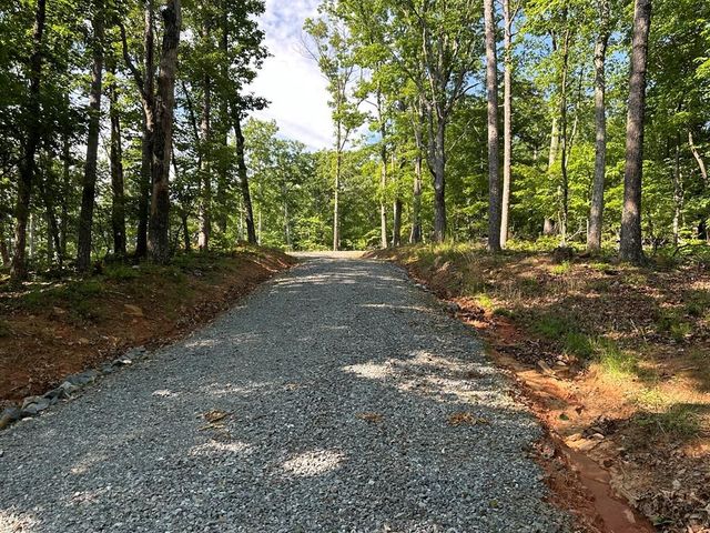 673 Willard Mountain Road, Blue Ridge, GA 30513