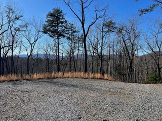 673 Willard Mountain Road, Blue Ridge, GA 30513