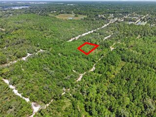 PARCEL 230, E HOLLY HOCK ROAD, Deland, FL 32724