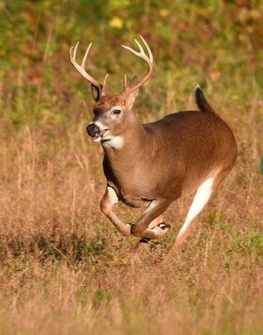 12621 Sue Lane, Godley, TX 76044