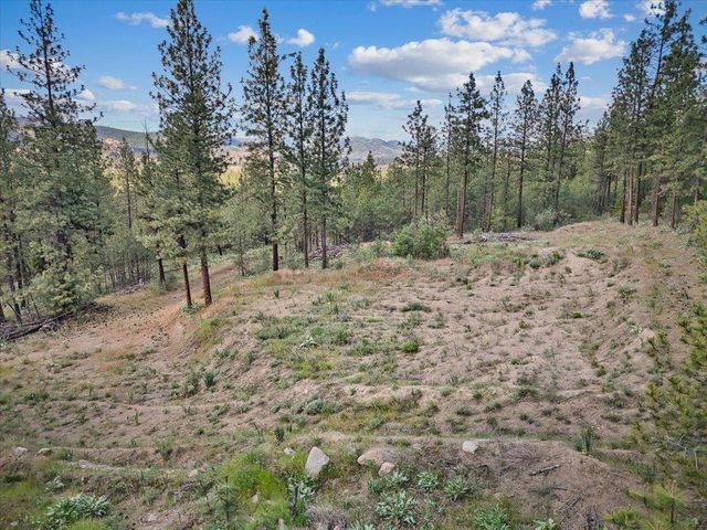 21XXX W South Bank Rd, Nine Mile Falls, WA 99026