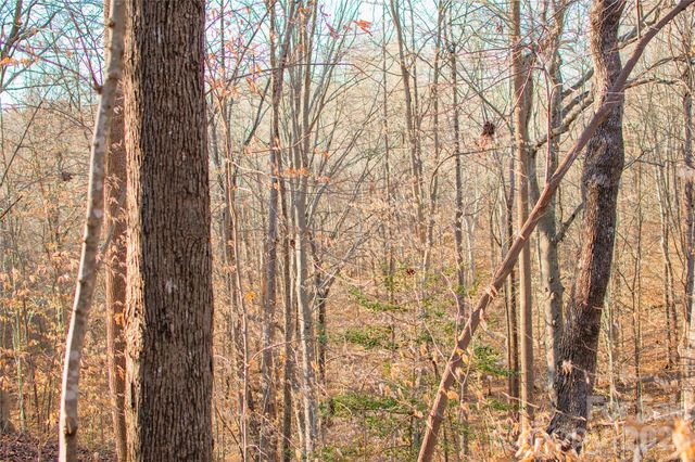 0 Windbluff Court 161, Statesville, NC 28677