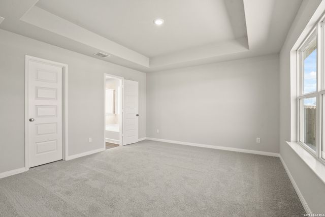 8535 Catnip Pass, Elmendorf, TX 78112