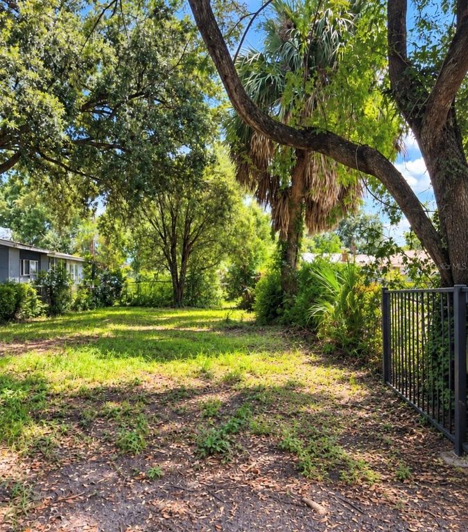 1517 E LAKE AVENUE, Tampa, FL 33610