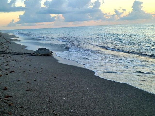 0000 SE Federal Highway, Jupiter, FL 33469