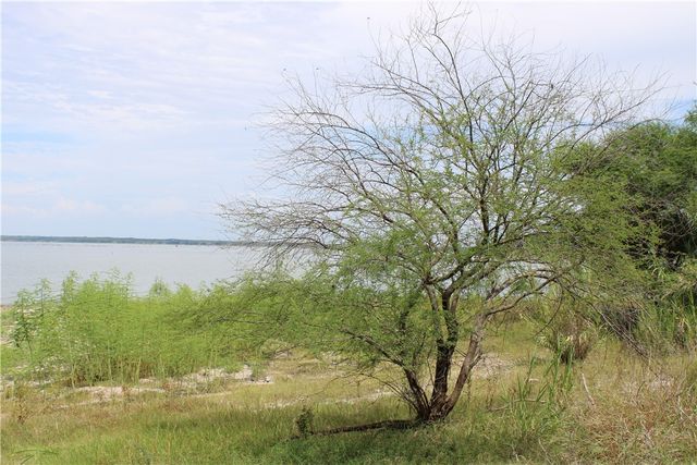 00 Lot 6 Vista Fina Dr., Sandia, TX 78383