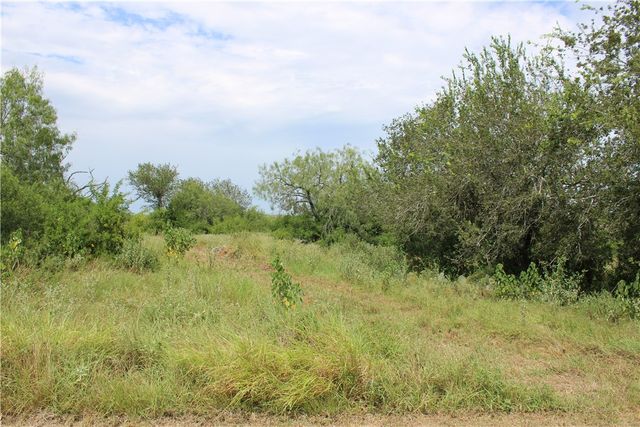 00 Lot 6 Vista Fina Dr., Sandia, TX 78383